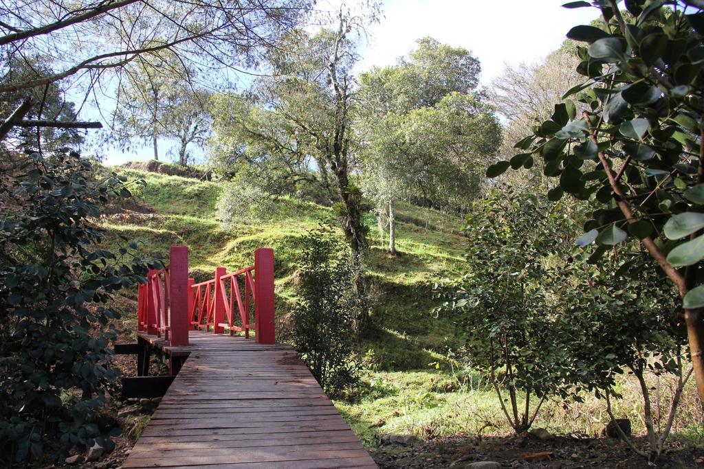 Café e Cabanas Lenha no Fogo Urubici Exterior foto