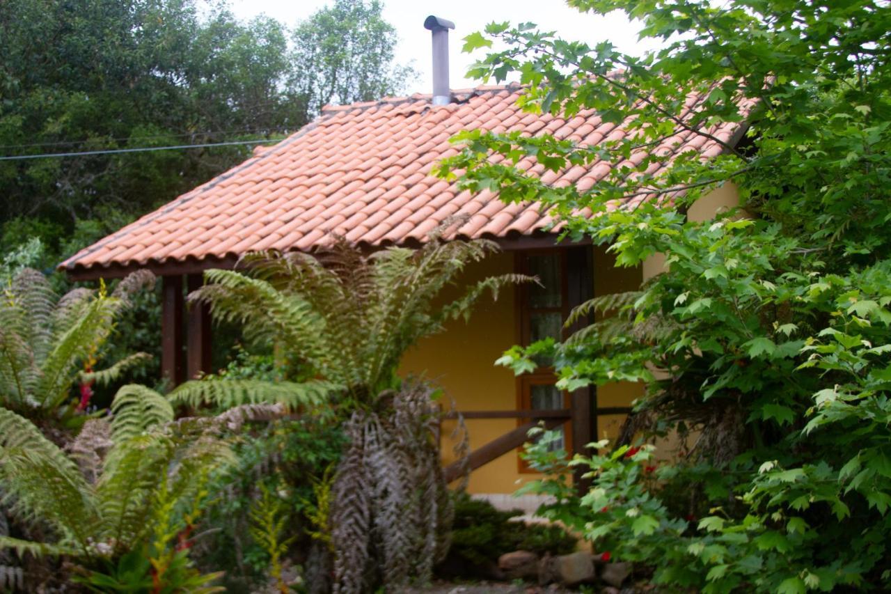 Café e Cabanas Lenha no Fogo Urubici Exterior foto